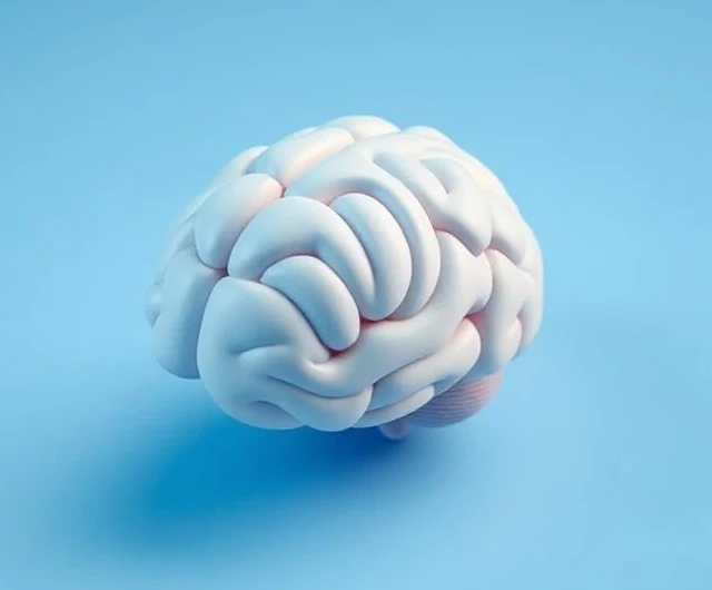 Knowledge Hub